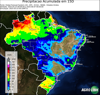 15 dias