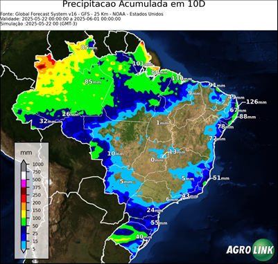 10 dias