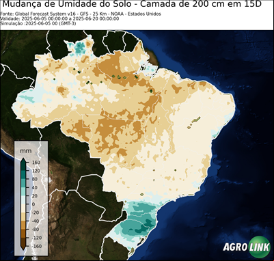 15 dias