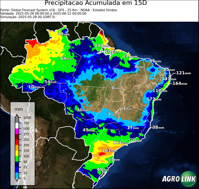 15 dias