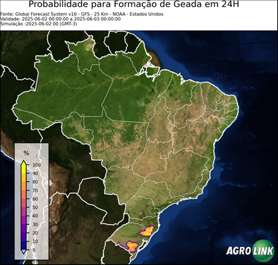 24 horas