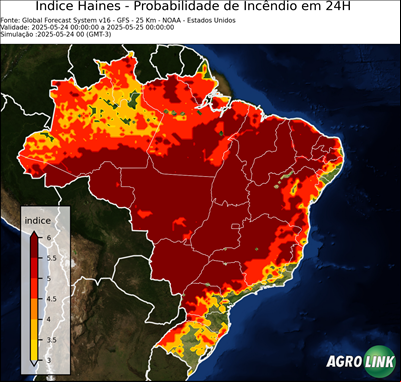 24 horas