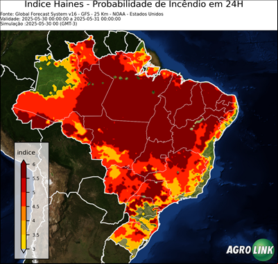 24 horas