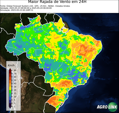 24 horas
