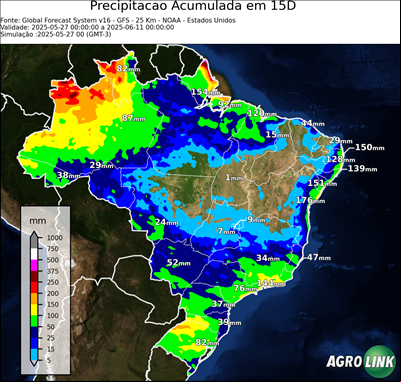 15 dias