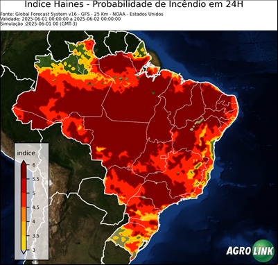 24 horas