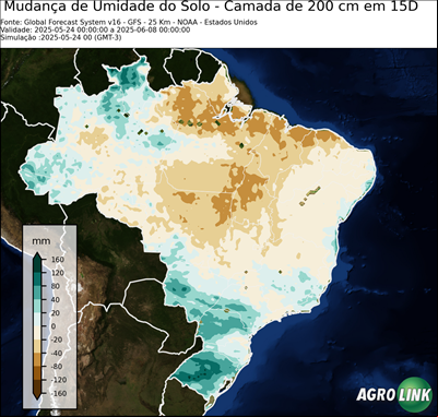 15 dias