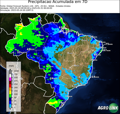 7 dias