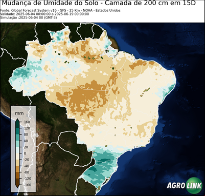15 dias