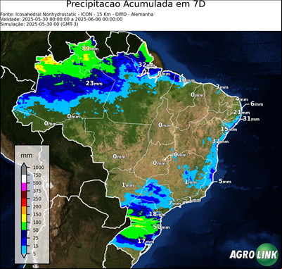 7 dias
